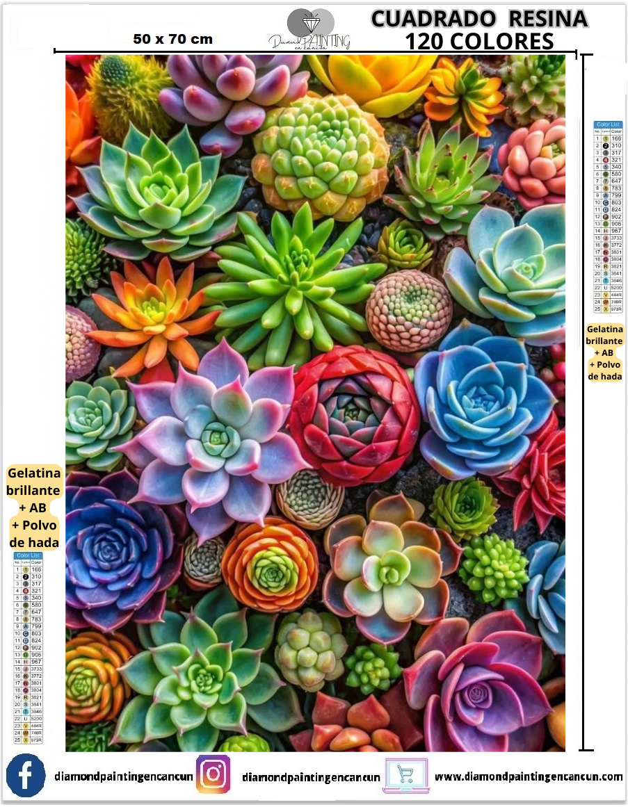 Suculentas 50 x 70