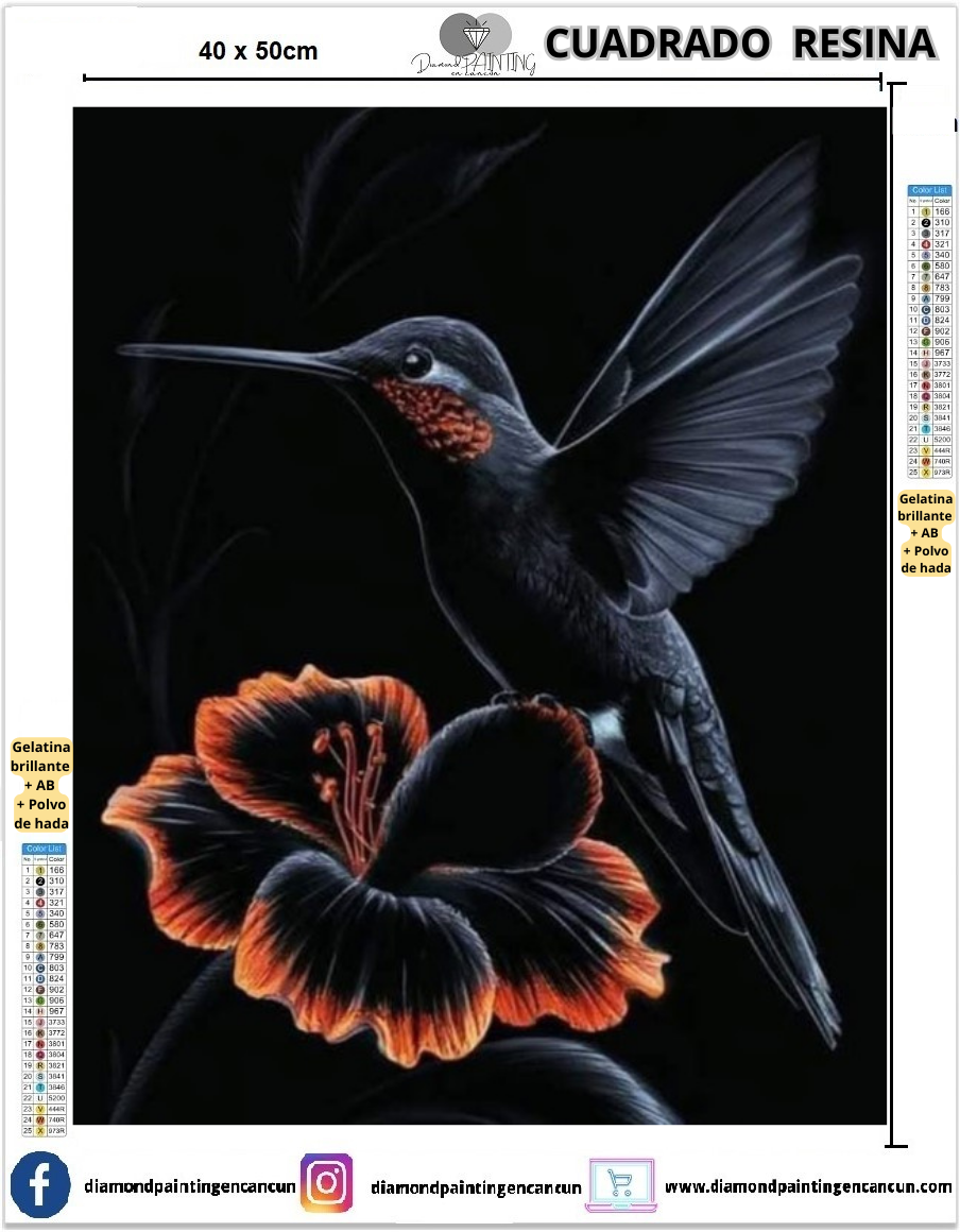 Colibrí negro 40 x 50 Contiene DIAMANTES DE RESINA: GELATINA BRILLANTE EN LA OSCURIDAD, AB Y POLVO DE HADA