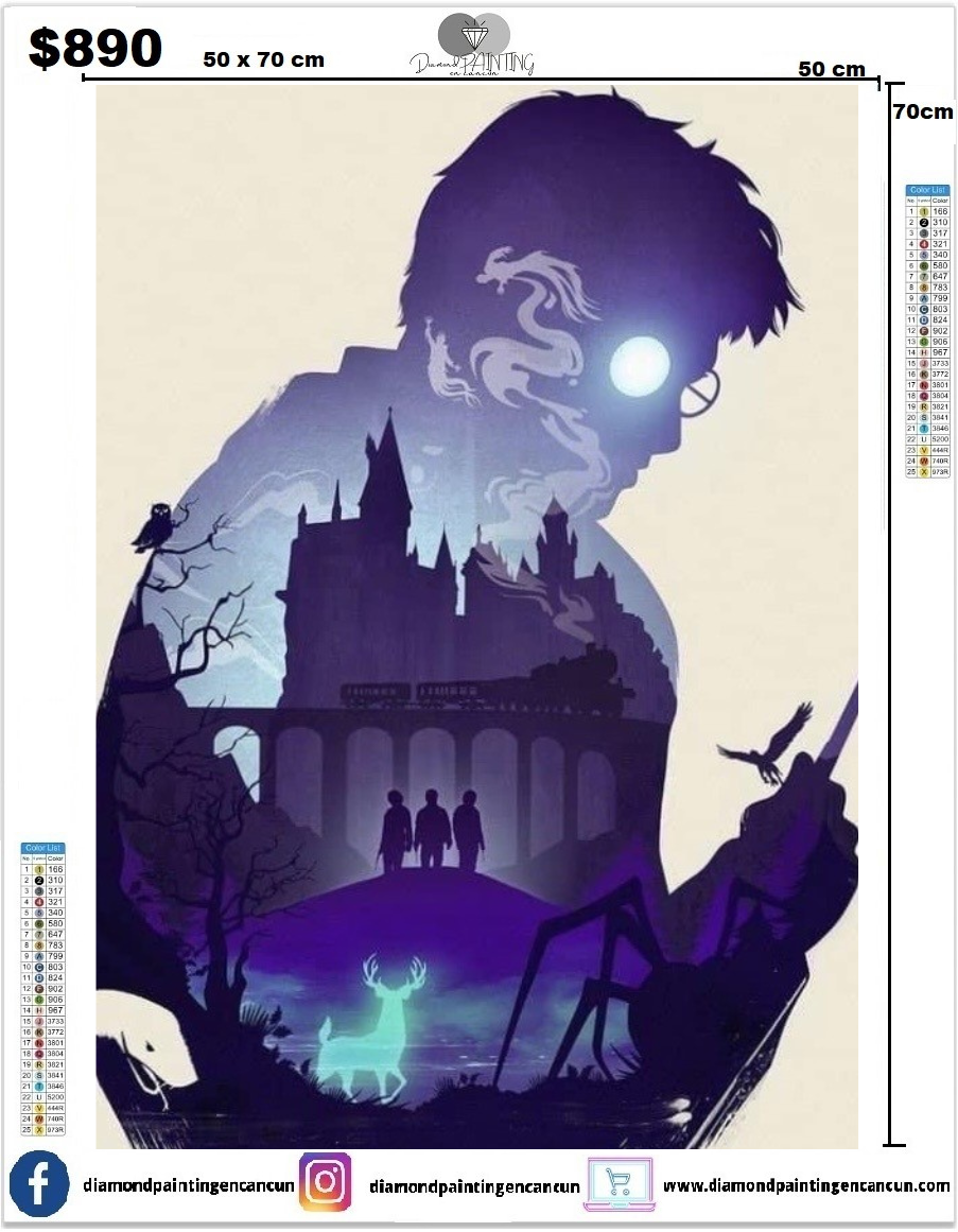 Harry Potter 50 x 70 contiene DIAMANTES AB Y POLVO DE HADA