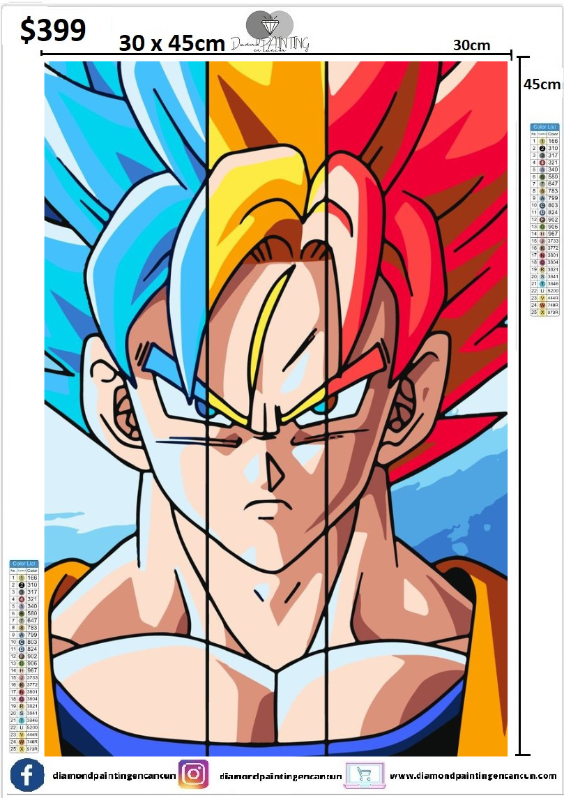 Goku 30 x 45cm contiene Diamantes AB