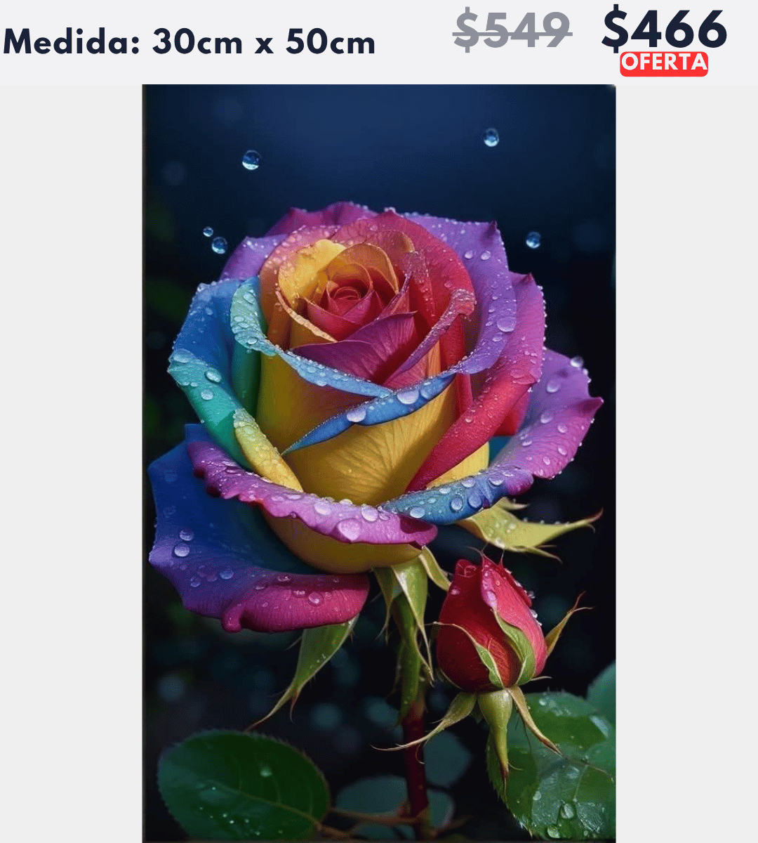 Rosa colorida 30 x 50 | Aparta con $100 / Resta $367