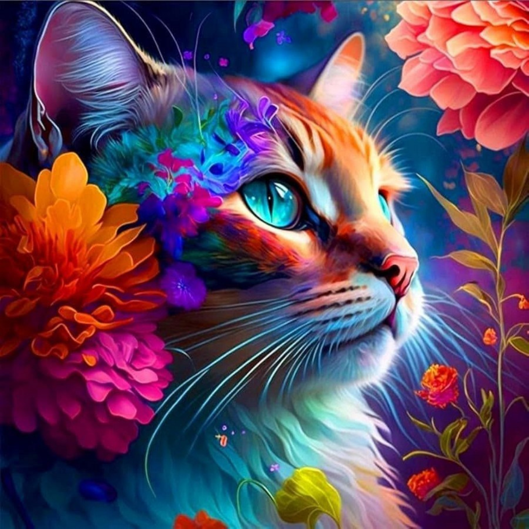 Gato colores 50 x 50