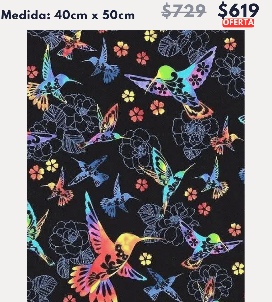 Colibries 40 x 50 | Aparta con $100 / Resta $520