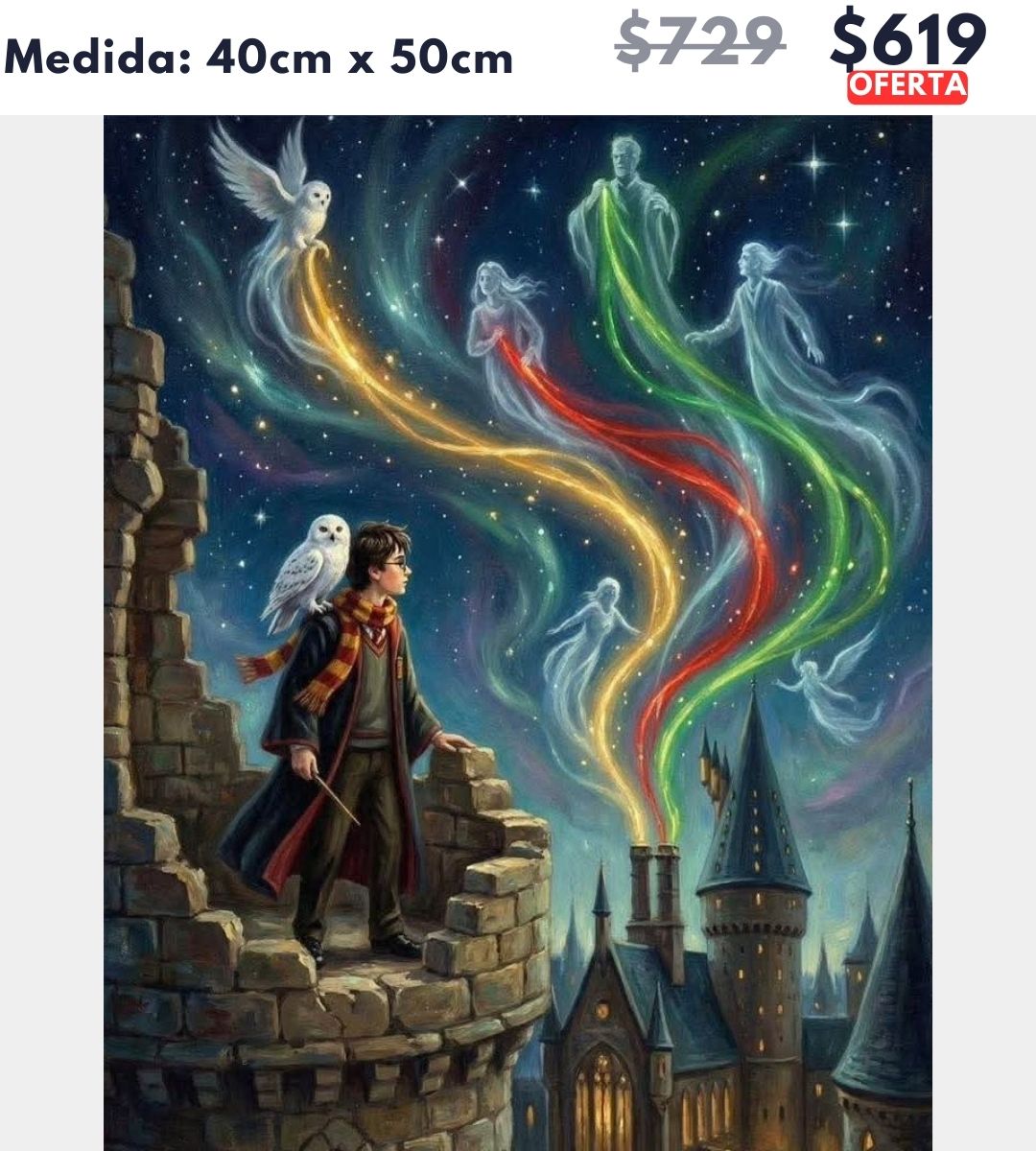 Harry Potter 40 x 50 | Aparta con $100 / Resta $520