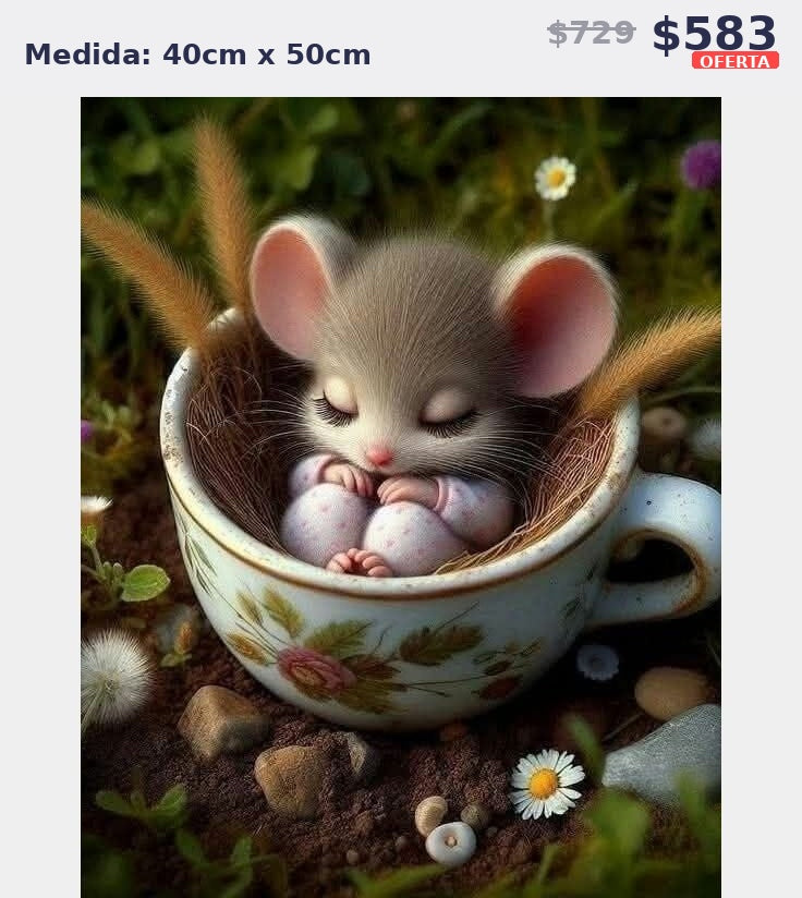 raton taza flores 40 x 50 | Aparta con $100 / Resta $483
