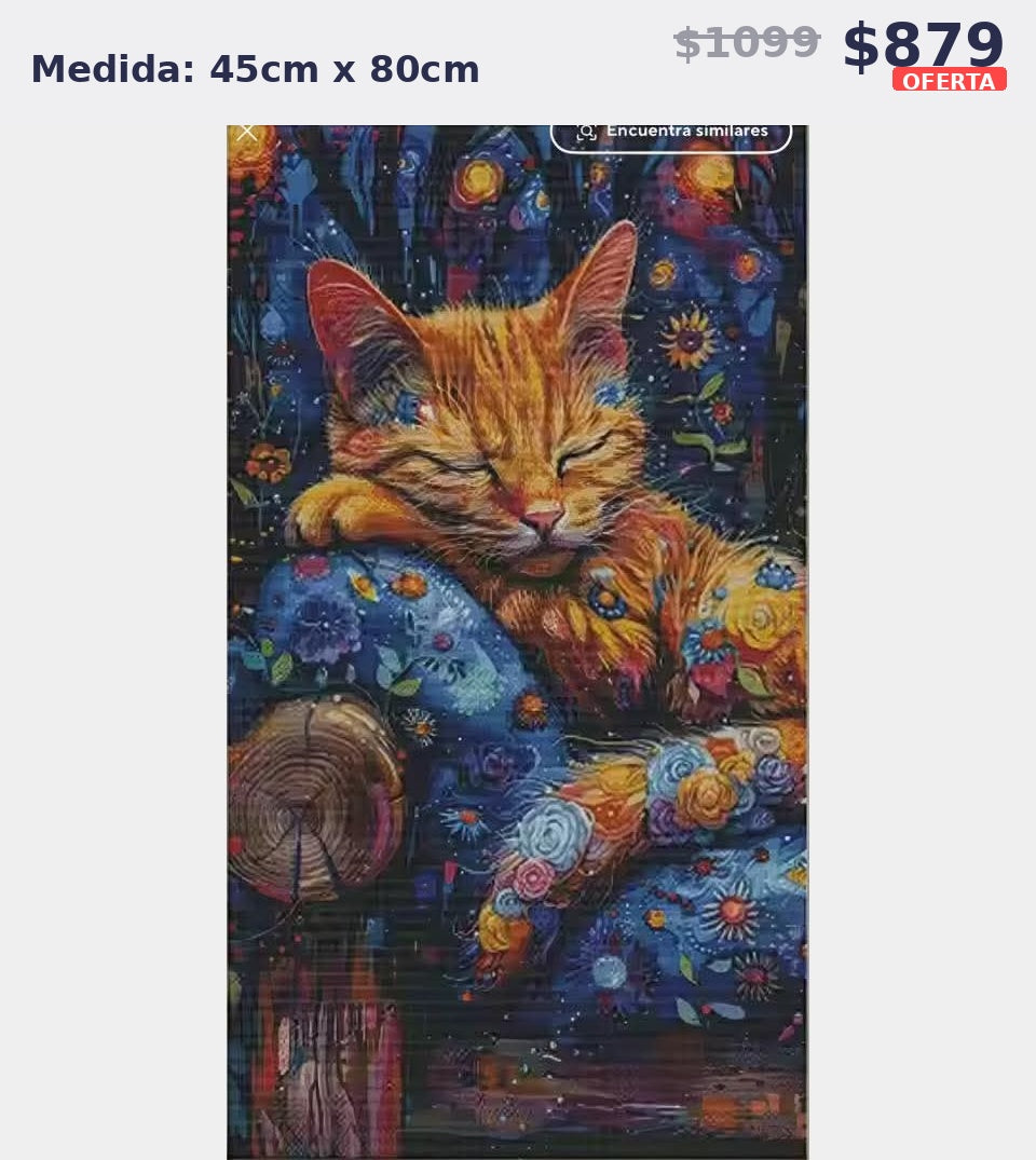 gato naranja artistico 45 x 80 | Aparta con $100 / Resta $779