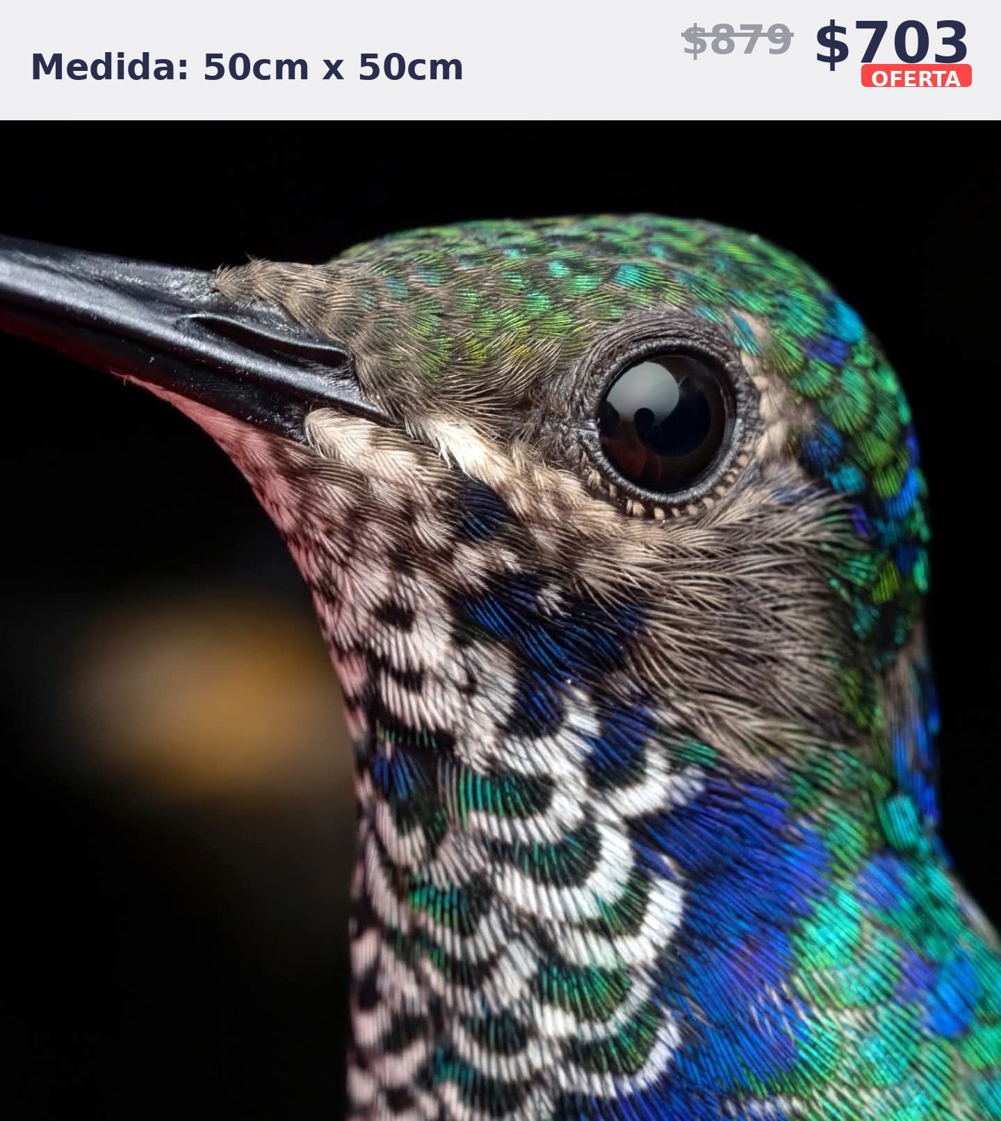 colibri primer plano 50 x 50 | Aparta con $100 / Resta $603