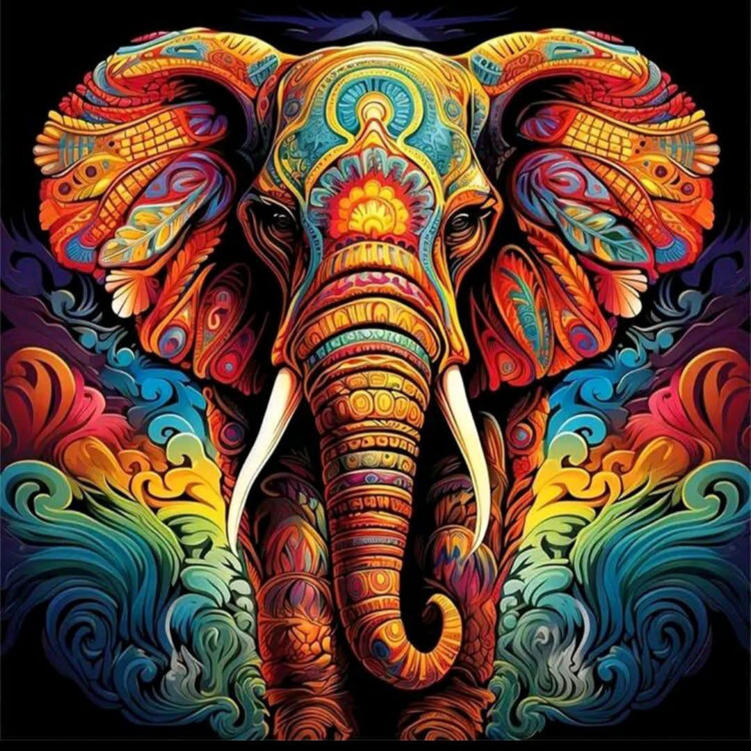 Elefante | 50 x 50cm