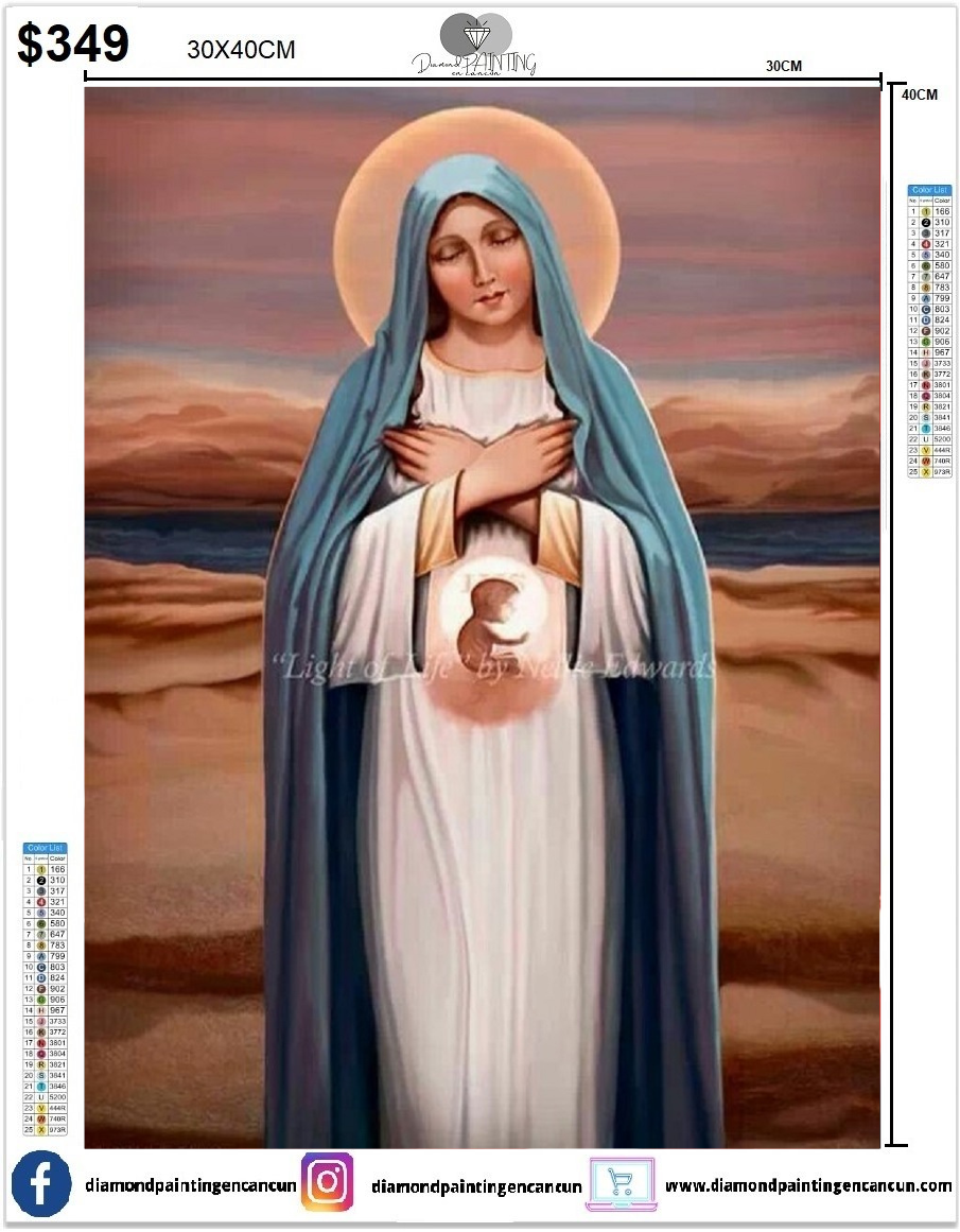 Virgen 30 x 40cm Incluye Diamantes AB