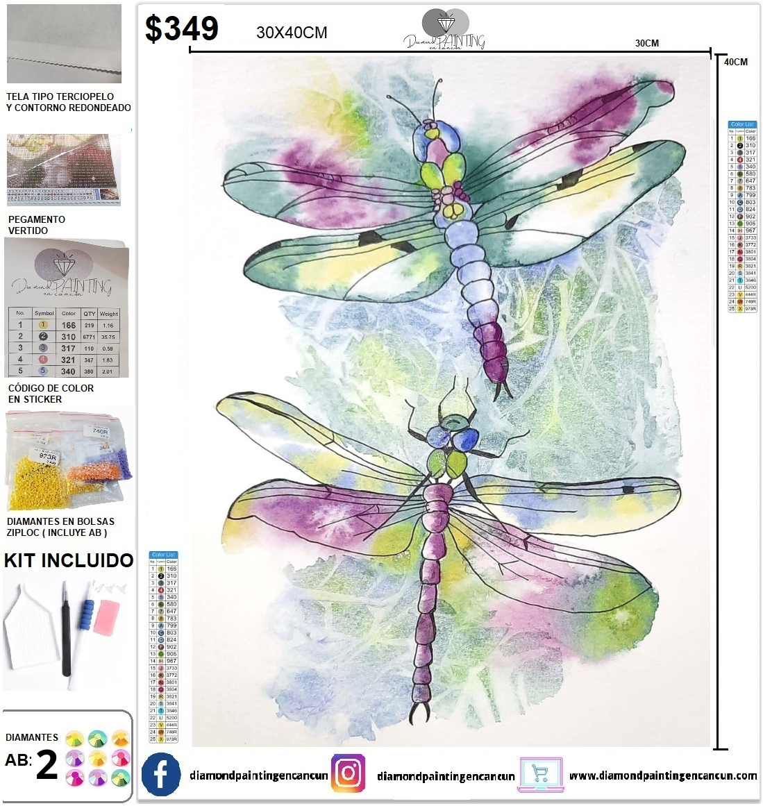 Libélula 30 x 40 incluye DIAMANTES AB