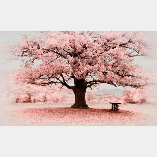 Cerezo 30 x 50
