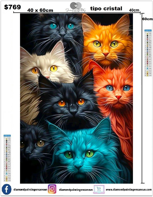 Gatitos 40 x 60cm TODO DIAMANTE TIPO CRISTAL