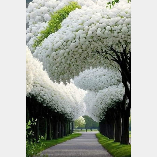 Arboles Blancos 2 | 30 x 45 cm