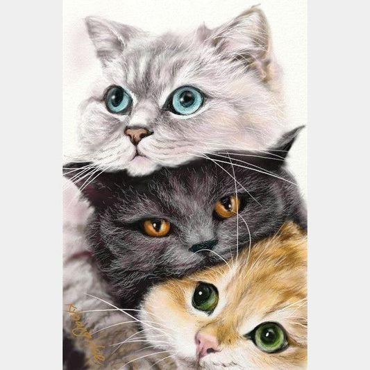 Gatitos | 30 x 45 cm