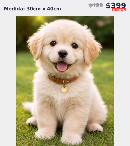 cachorro golden 30 x 40 | Aparta con $100 / Resta $299