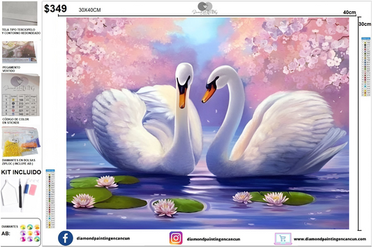 Cisnes 30 x 40cm incluye Diamantes AB