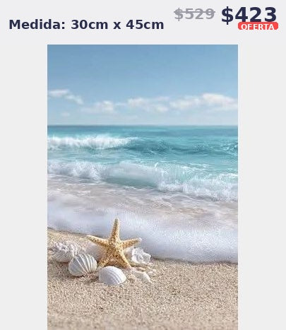 playa con conchas 30 x 45 | Aparta con $100 / Resta $323