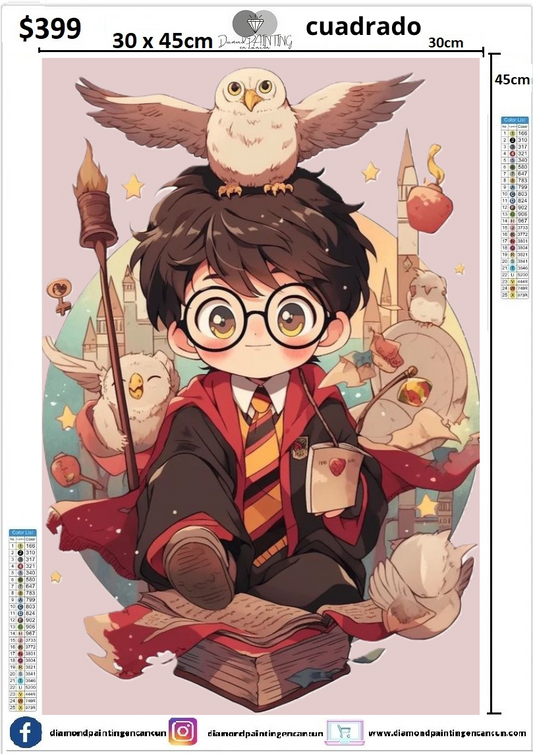 Harry Potter 30 x 45 CUADRADO contiene DIAMANTES AB Y POLVO DE HADA