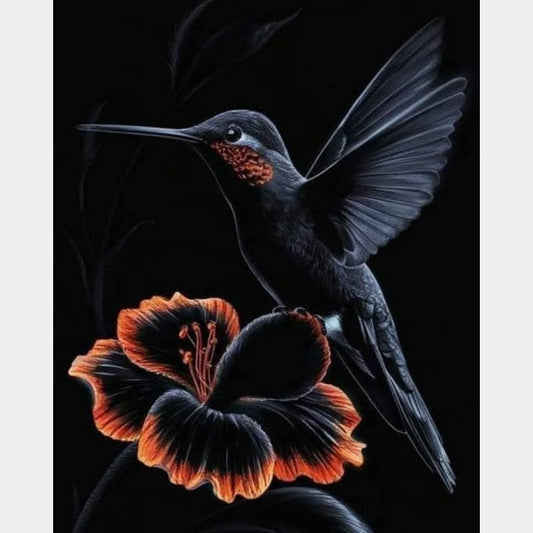 Colibri | 40 x 50 cm