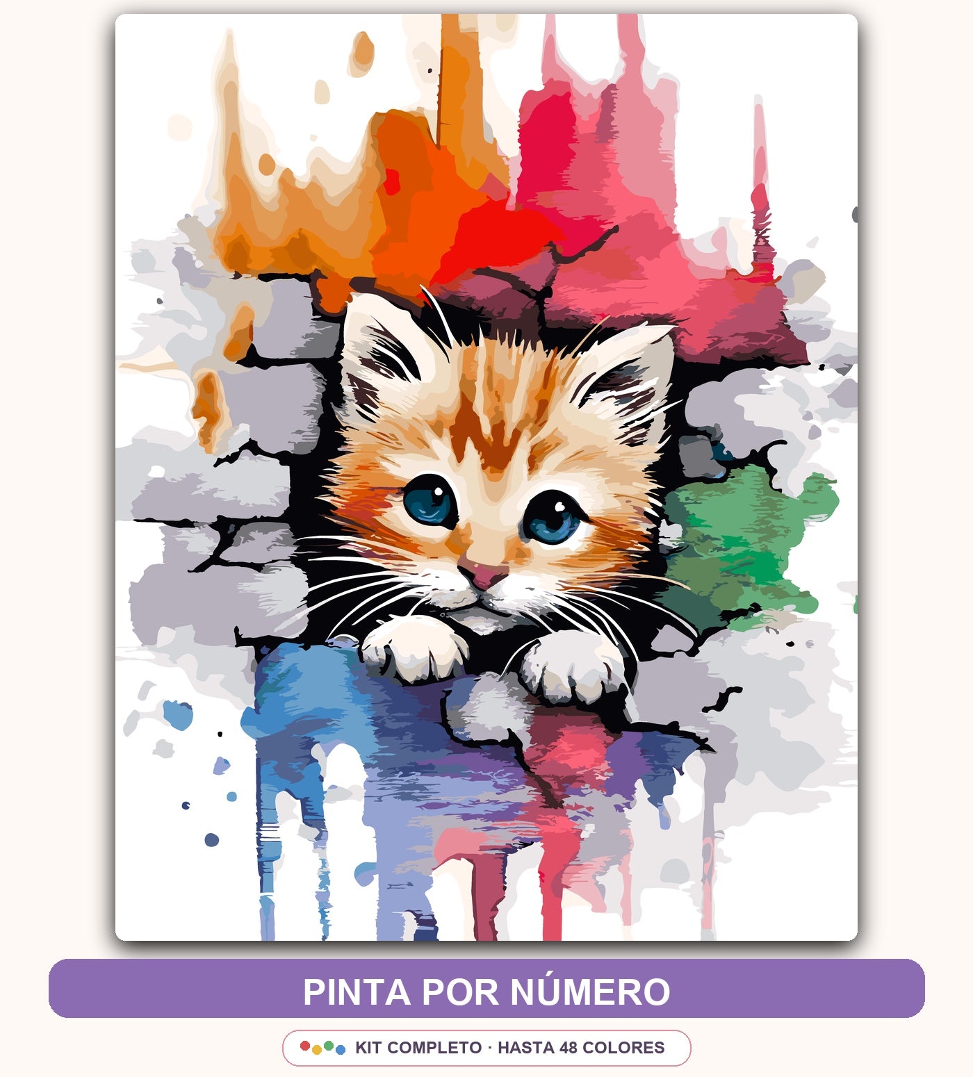 Gatito en Pared de Colores | 40 x 50 cm