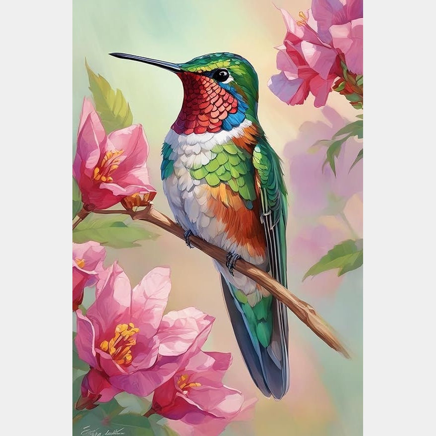Colibri | 40 x 60 cm