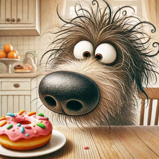 Perrito dona 40 x 40