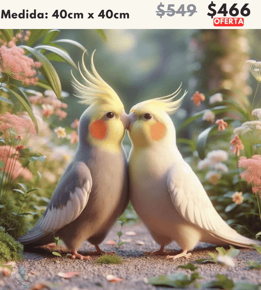 Pajaritos enamorados 40 x 40 | Aparta con $100 / Resta $367
