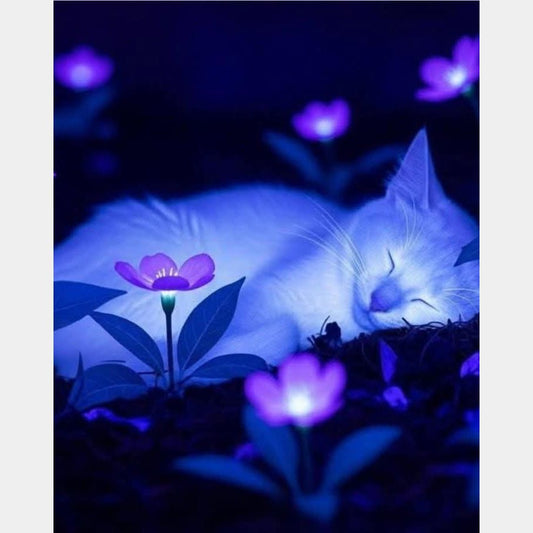 Gatito durmiendo | 40 x 50 cm