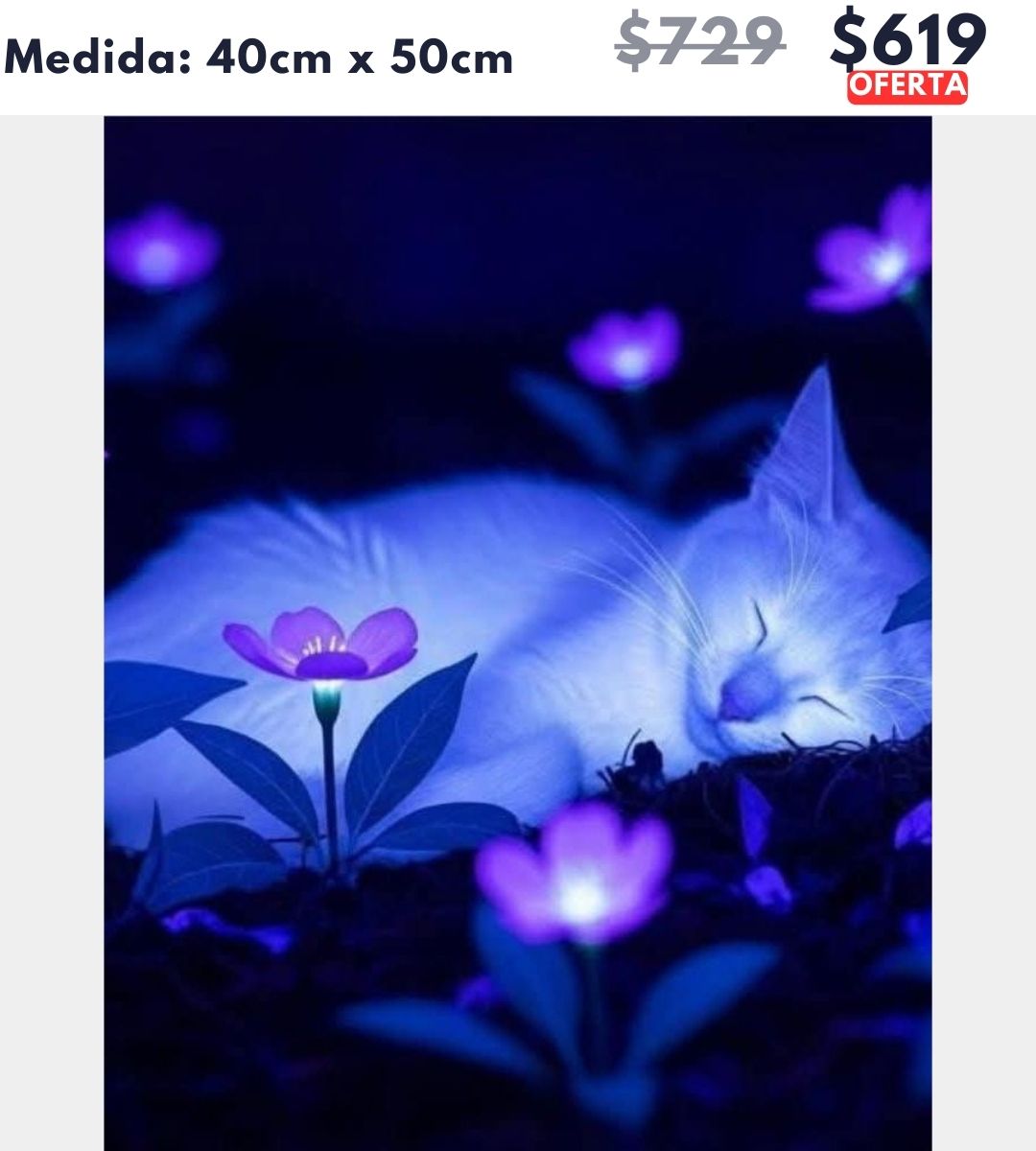 Gatito durmiendo 40 x 50 | Aparta con $100 / Resta $520