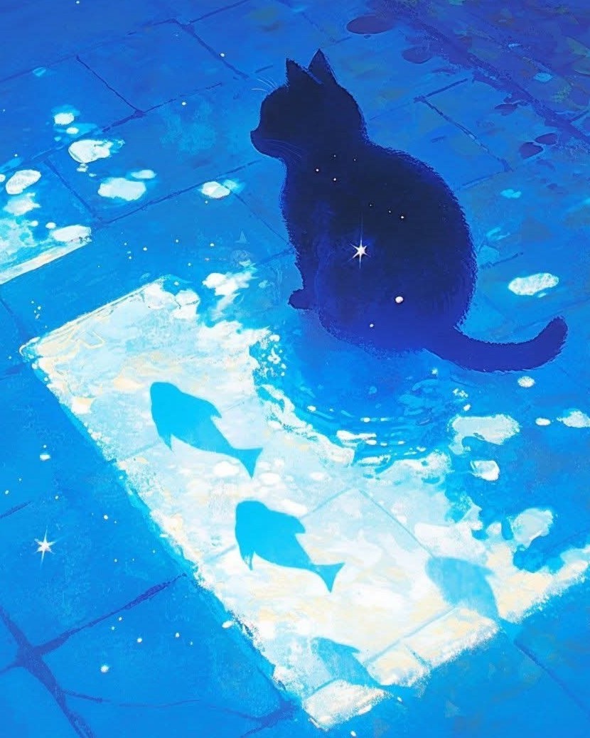 Gato negro 40 x 50 | Aparta con $100 / Resta $556