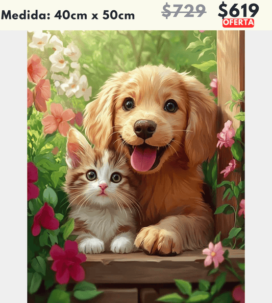 Perro y gato 40 x 50 | Aparta con $100 / Resta $520