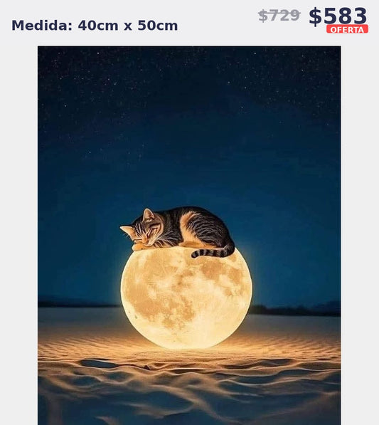 gato sobre luna 40 x 50 | Aparta con $100 / Resta $483