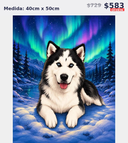 husky aurora boreal 40 x 50 | Aparta con $100 / Resta $483
