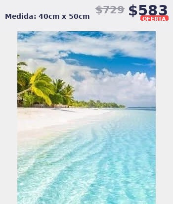 playa tropical 40 x 50 | Aparta con $100 / Resta $483