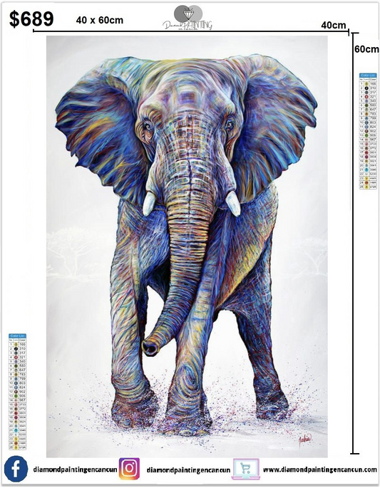 Elefante 40 x 60 contiene Diamantes AB