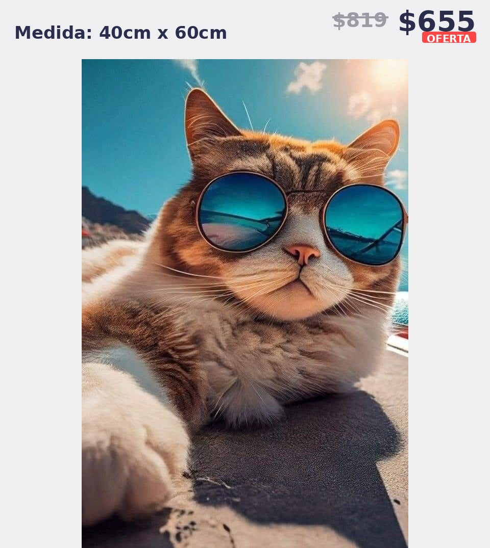 gato con lentes playa 40 x 60 | Aparta con $100 / Resta $555