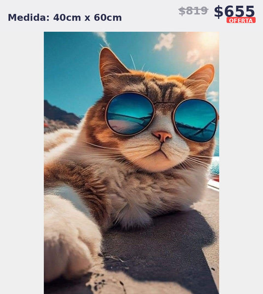 gato con lentes playa 40 x 60 | Aparta con $100 / Resta $555