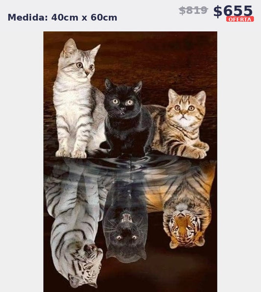 gatos reflejo 40 x 60 | Aparta con $100 / Resta $555
