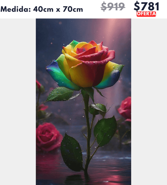 Rosa unica 40 x 70 | Aparta con $100 / Resta $681