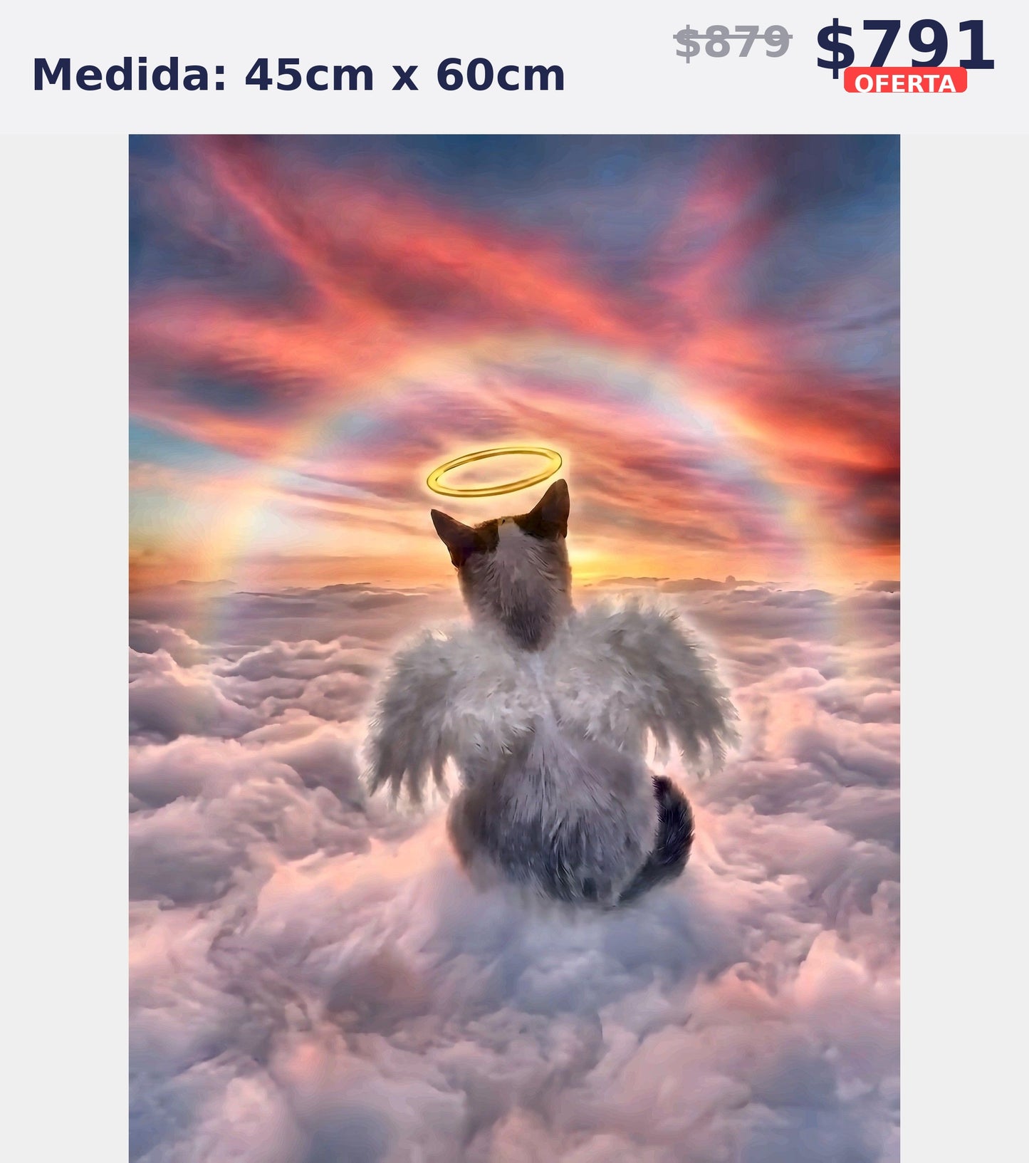 perrito angel en nubes 45 x 60 | Aparta con $100 / Resta $603