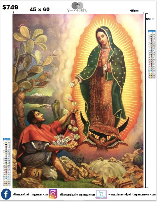 Virgen y Juan Diego 45 x 60cm incluye algunos Diamantes AB