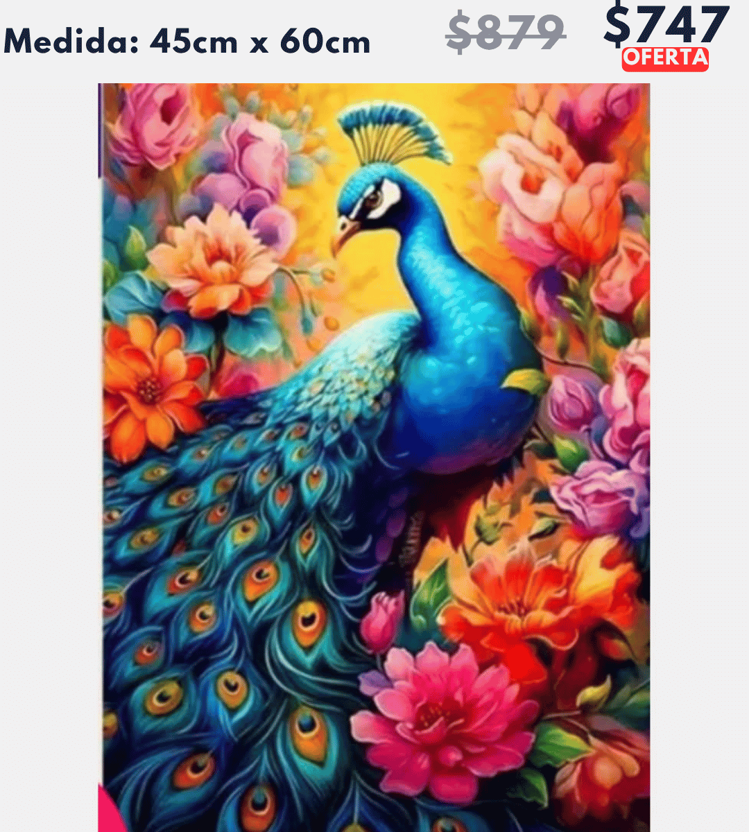 Pavorreal 45 x 60 | Aparta con $100 / Resta $647