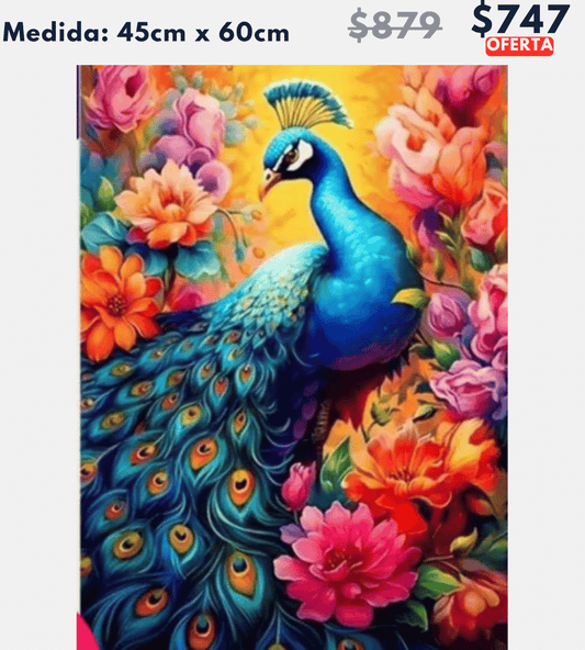 Pavorreal 45 x 60 | Aparta con $100 / Resta $647