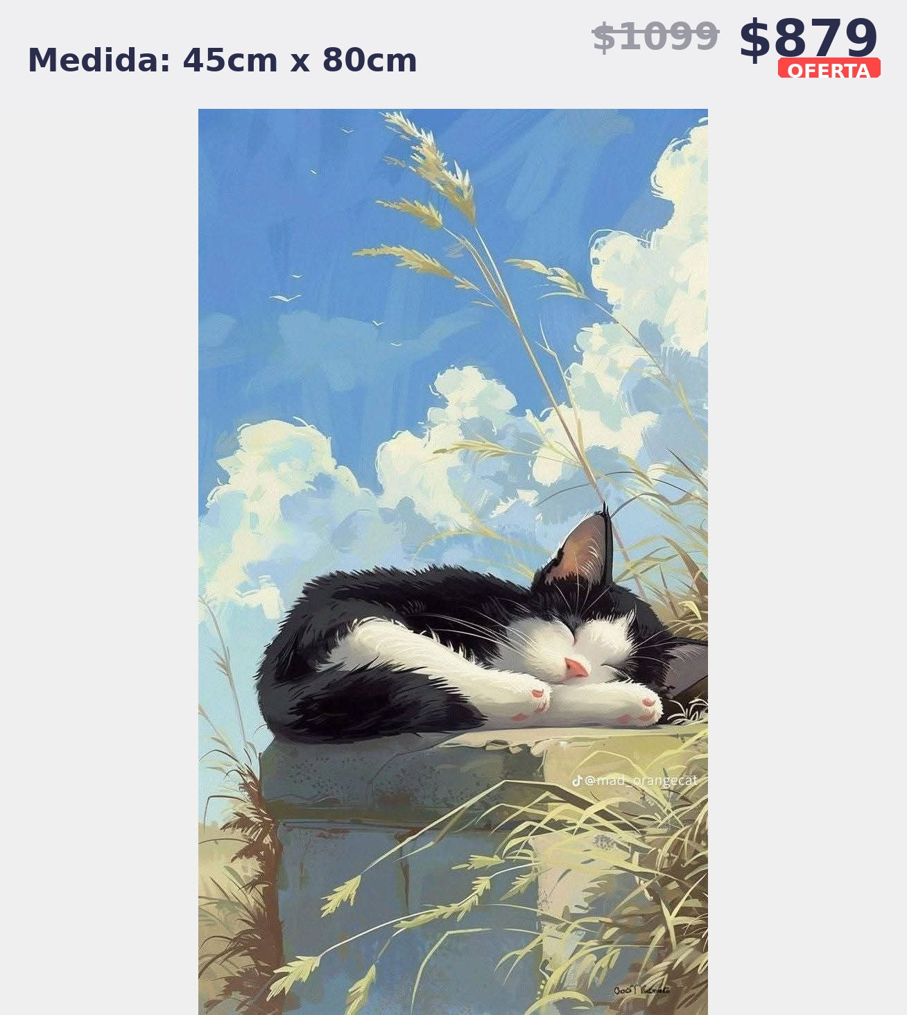 gato dormido campo 45 x 80 | Aparta con $100 / Resta $779