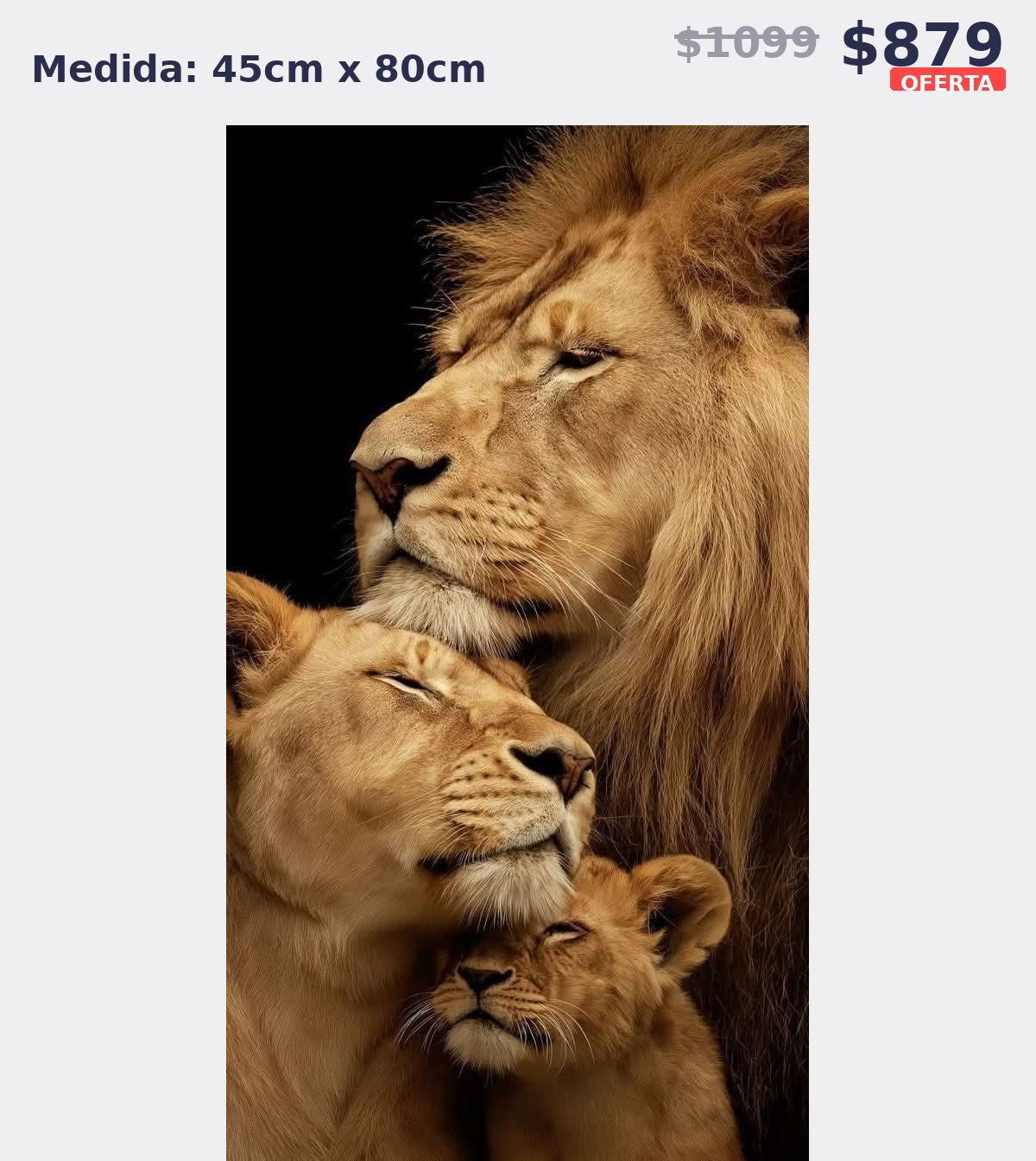 leones retrato 45 x 80 | Aparta con $100 / Resta $779