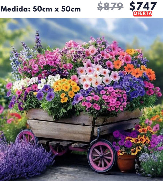 Flores coloridas 50 x 50 | Aparta con $100 / Resta $647