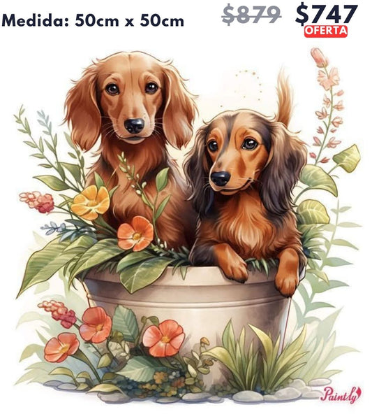 Perritos 50 x 50 | Aparta con $100 / Resta $647