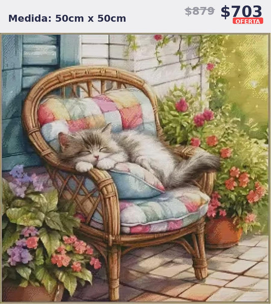gato silla jardin 50 x 50 | Aparta con $100 / Resta $603