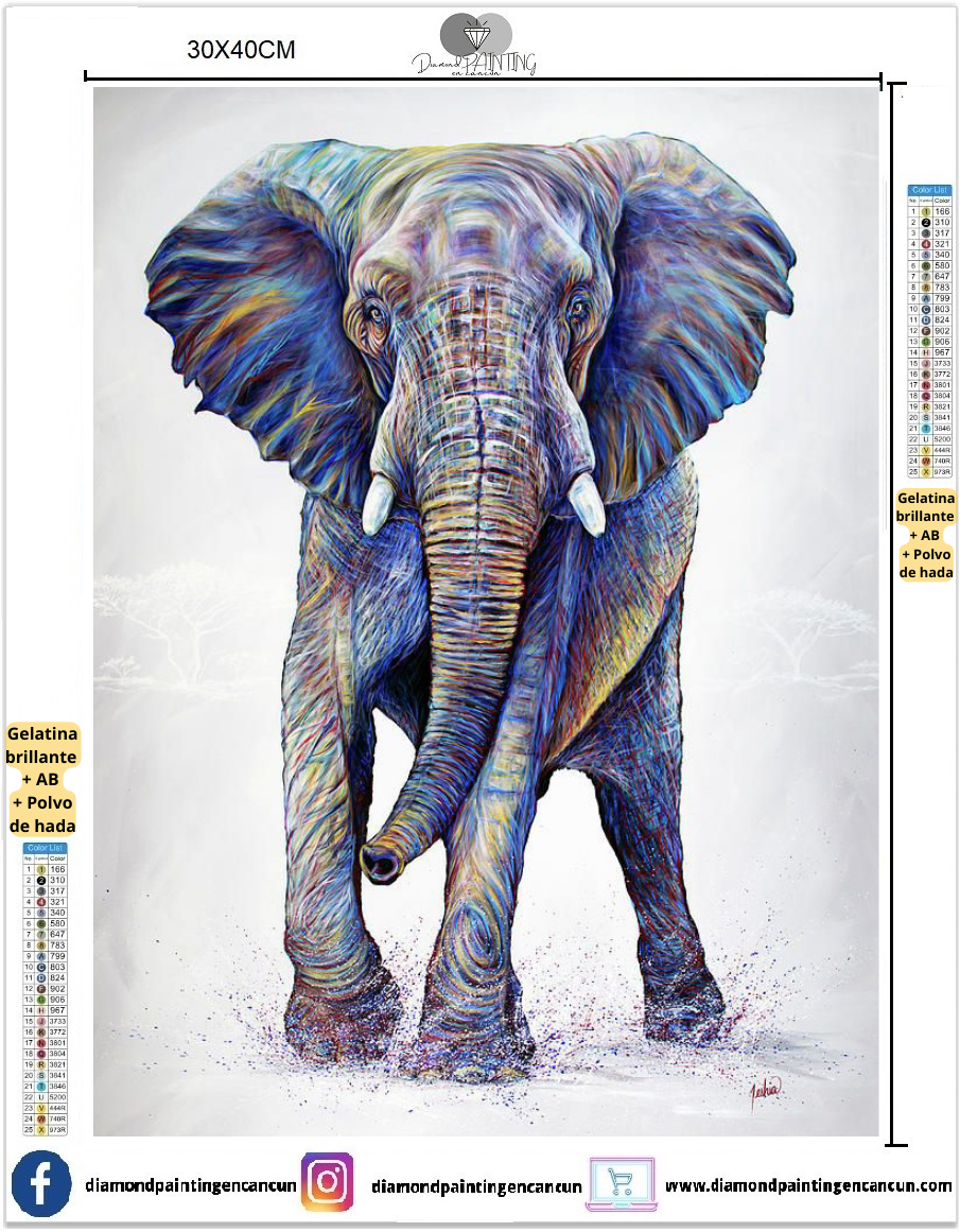 Elefante 30 x 40