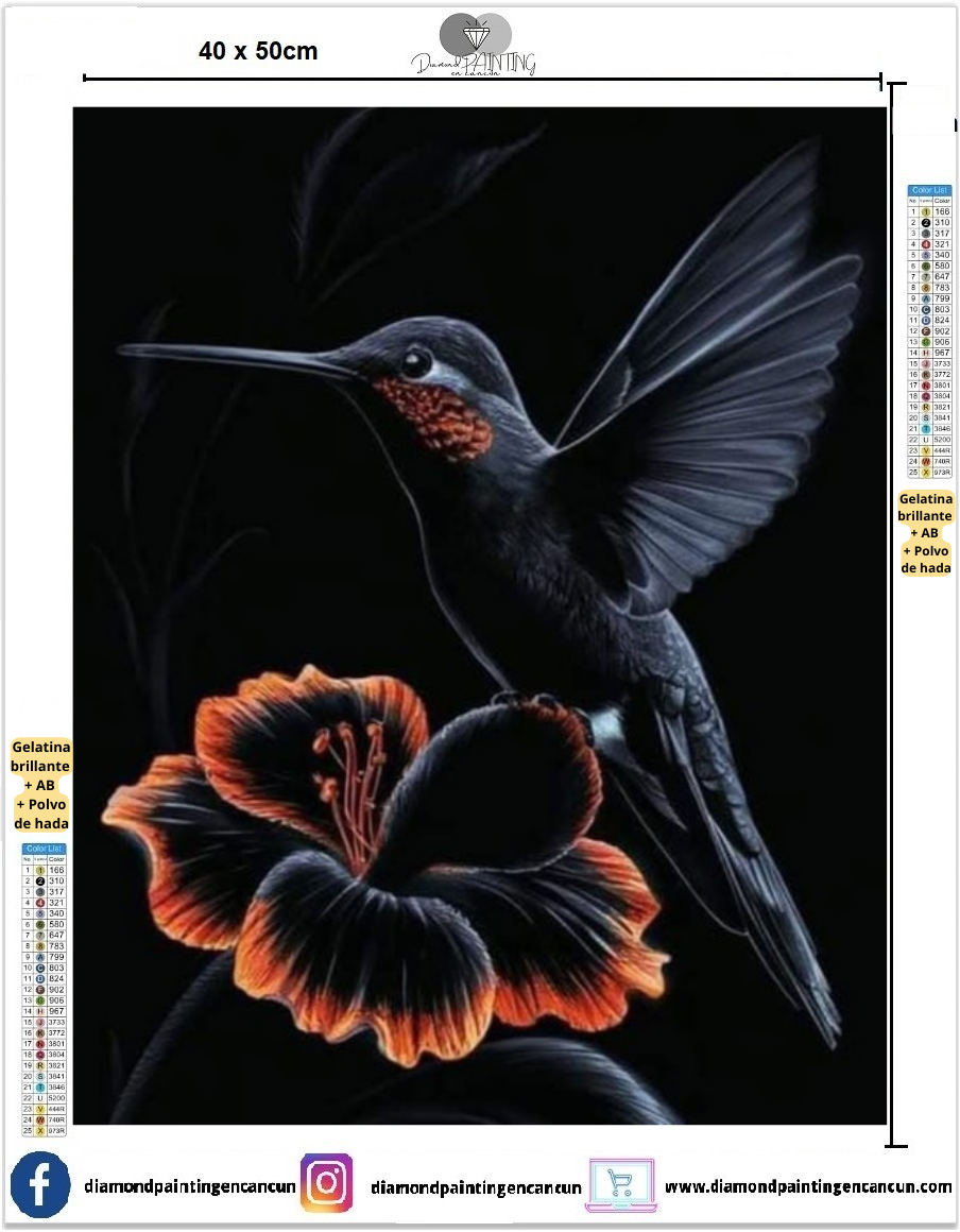 Colibrí negro 40 x 50contiene DIAMANTES GELATINA BRILLANTE EN LA OSCURIDAD, AB Y POLVO DE HADA